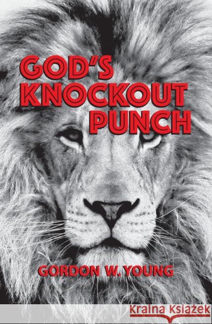 God's Knockout Punch Gordon Young 9781460011386 Guardian Books - książka