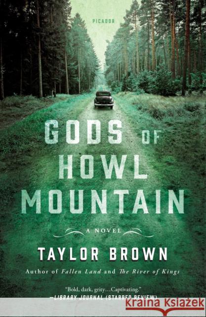 Gods of Howl Mountain Taylor Brown 9781250311580 Picador USA - książka