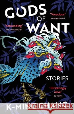 Gods of Want: A New York Times Notable Book of 2022 K-Ming Chang 9781529114218 Vintage Publishing - książka