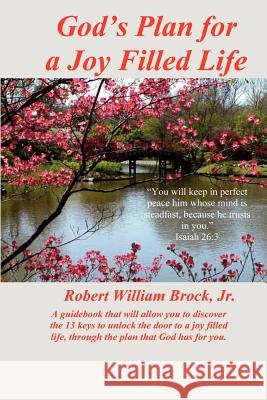 God's Plan for a Joy Filled Life Robert William Broc 9781419652936 Booksurge Publishing - książka