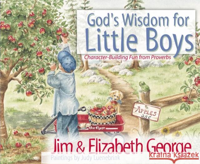 God's Wisdom for Little Boys: Character-Building Fun from Proverbs Jim George Elizabeth George Judy Luenebrink 9780736908245 Harvest House Publishers - książka