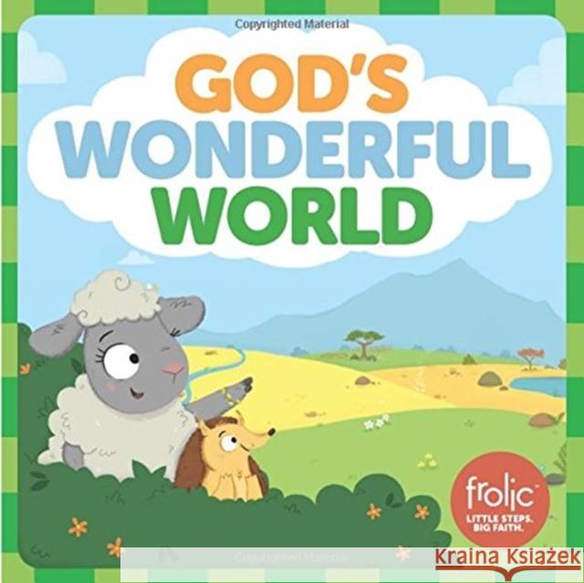 God's Wonderful World: A Book about the Five Senses Hilton, Jennifer 9781506410470 Sparkhouse - książka