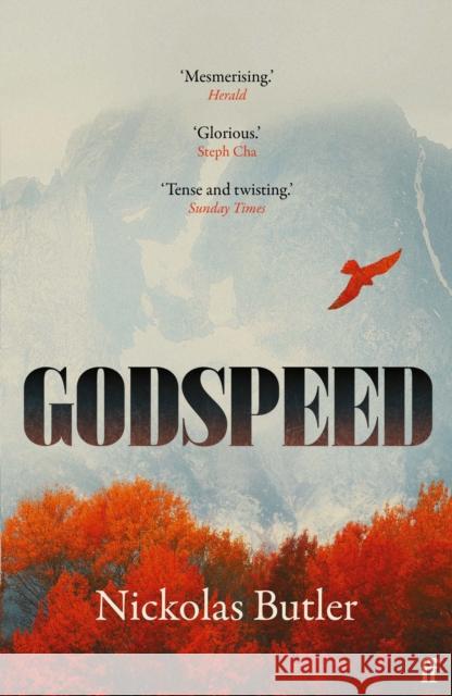 Godspeed Nickolas Butler 9780571362974 Faber & Faber - książka