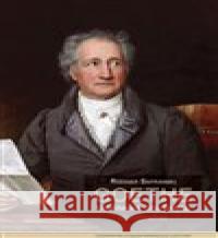 Goethe Rüdiger Safranski 9788073254957 Centrum pro studium demokracie a kultury - książka