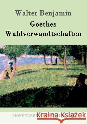 Goethes Wahlverwandtschaften Consultant Statistician Walter Benjamin (Columbia University) 9783843084239 Hofenberg - książka