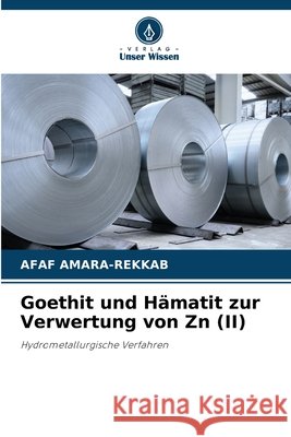 Goethit und Hämatit zur Verwertung von Zn (II) AMARA-REKKAB, AFAF 9786208872854 Verlag Unser Wissen - książka