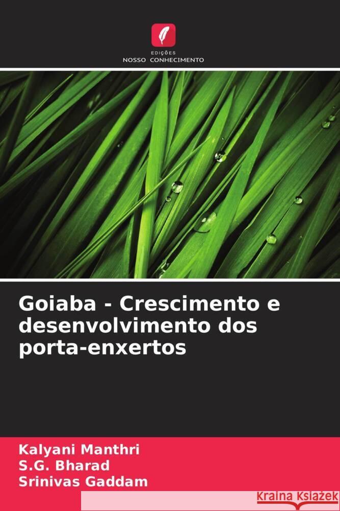 Goiaba - Crescimento e desenvolvimento dos porta-enxertos Manthri, Kalyani, Bharad, S.G., Gaddam, Srinivas 9786206301356 Edições Nosso Conhecimento - książka