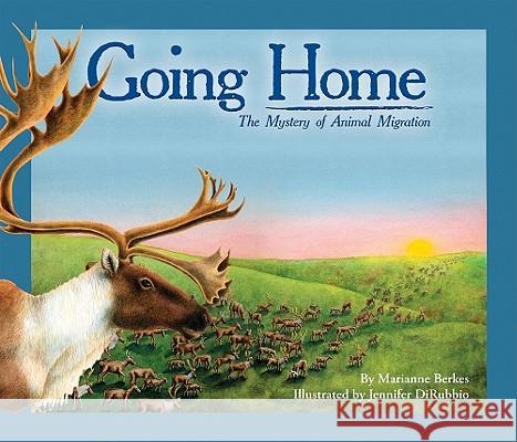 Going Home: The Mystery of Animal Migration Marianne Berkes Jennifer DiRubbio 9781584691273 Dawn Publications (CA) - książka