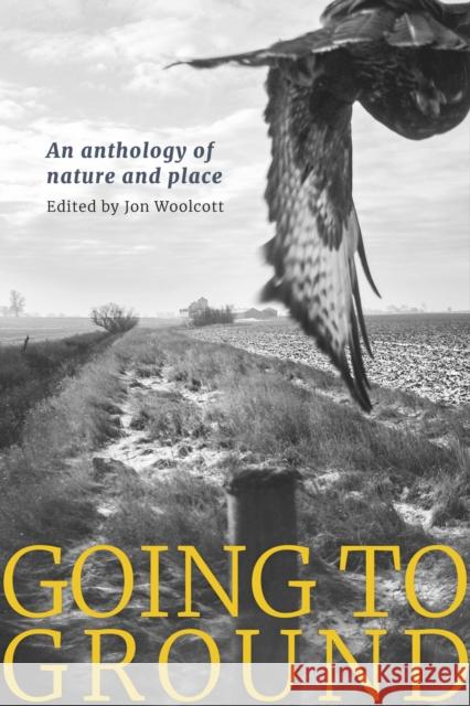 Going to Ground: An anthology of nature and place  9781915068347 Little Toller Books - książka