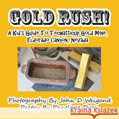 Gold Rush! A Kid's Guide To Techatticup Gold Mine, Eldorado Canyon, Nevada Penelope Dyan, John D Weigand 9781935630111 Bellissima Publishing - książka