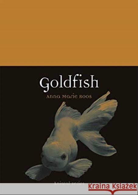 Goldfish Anna Marie Roos 9781789141351 Reaktion Books - książka