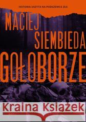 Gołoborze Maciej Siembieda 9788383677880 Literanova - książka
