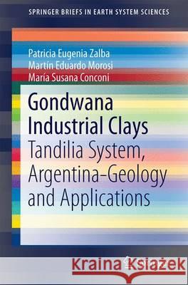 Gondwana Industrial Clays: Tandilia System, Argentina-Geology and Applications Zalba, Patricia Eugenia 9783319394558 Springer - książka