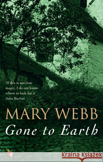 Gone To Earth Mary Webb 9780860681434  - książka