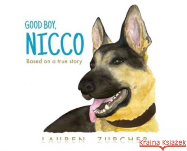 Good Boy, Nicco Lauren Zurcher, Lauren Zurcher 9781950484164 Spring Cedars LLC - książka