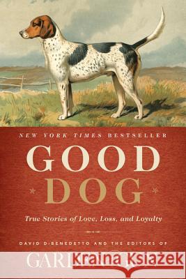 Good Dog: True Stories of Love, Loss, and Loyalty David Dibenedetto 9780062242358 Harperwave - książka