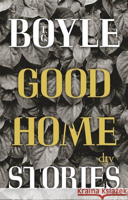 Good Home Stories Boyle, T. C. 9783423147170 DTV - książka