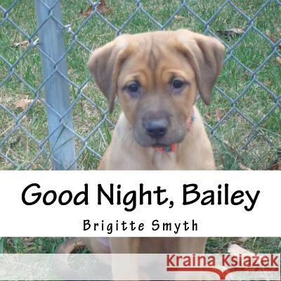 Good Night, Bailey Brigitte Smyth 9781519253187 Createspace Independent Publishing Platform - książka