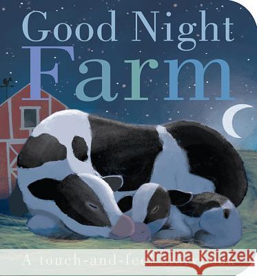 Good Night Farm Patricia Hegarty, Thomas Elliott 9781589252332 Tiger Tales - książka