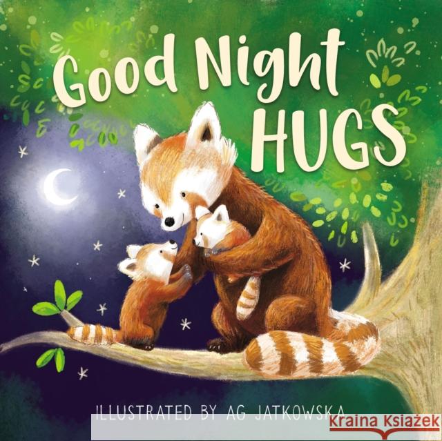 Good Night Hugs Ag Jatkowska 9781400212392 Tommy Nelson - książka