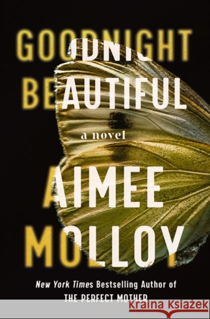 Goodnight Beautiful Aimee Molloy 9780063046702 HarperCollins - książka