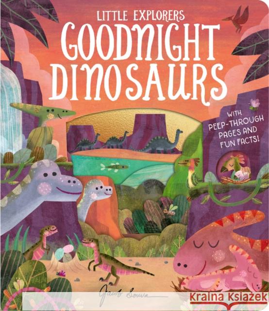 Goodnight Dinosaurs Molly Littleboy 9781801044905 Little Tiger Press Group - książka