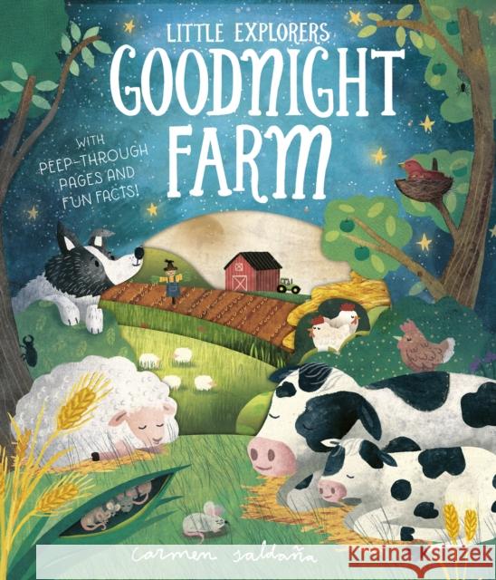 Goodnight Farm Becky Davies 9781912756285 Liontree Publishing - książka