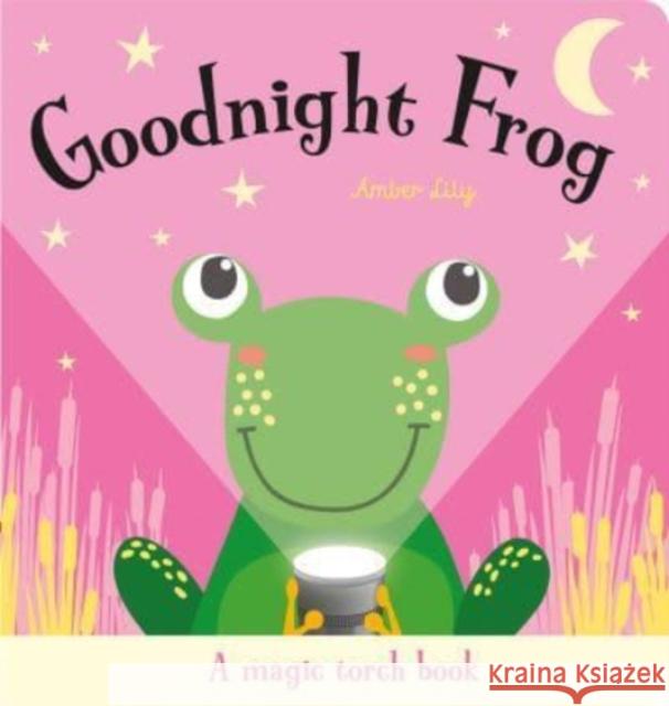 Goodnight Frog Amber Lily 9781801052559 Gemini Books Group Ltd - książka