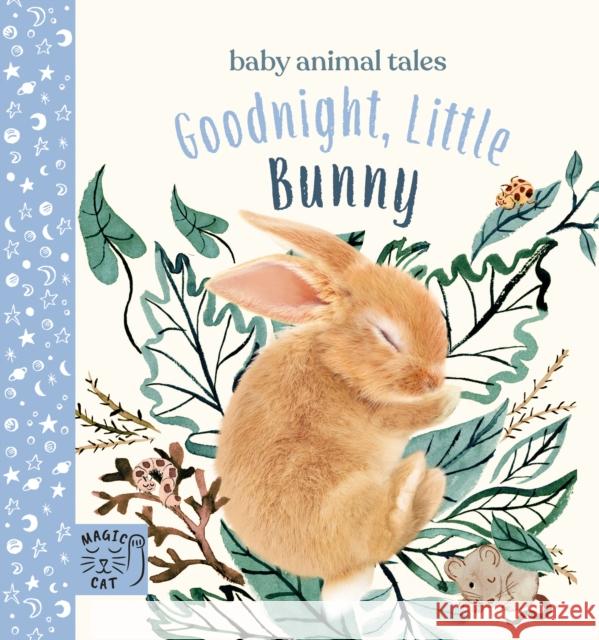 Goodnight, Little Bunny: A book about being brave Amanda Wood 9781913520182 Magic Cat Publishing - książka