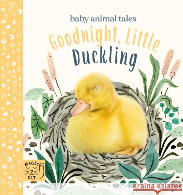 Goodnight, Little Duckling: A book about listening Amanda Wood 9781913520199 Magic Cat Publishing - książka