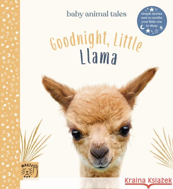 Goodnight Little Llama: Simple stories sure to soothe your little one to sleep Amanda Wood 9781913520021 Magic Cat Publishing - książka