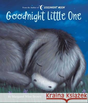 Goodnight Little One Margaret Wise Brown Rebecca Elliot 9781645170259 Silver Dolphin Books - książka