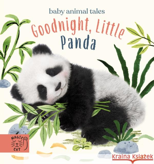 Goodnight, Little Panda: A book about fussy eating Amanda Wood 9781913520236 Magic Cat Publishing - książka