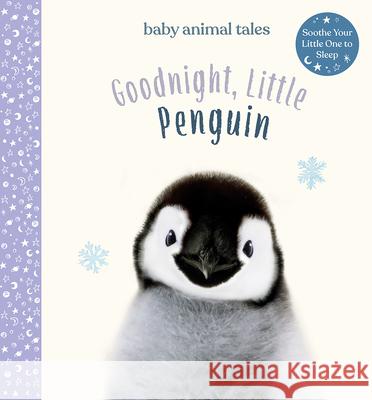 Goodnight, Little Penguin Amanda Wood Vikki Chu Bec Winnel 9781419752889 Magic Cat - książka