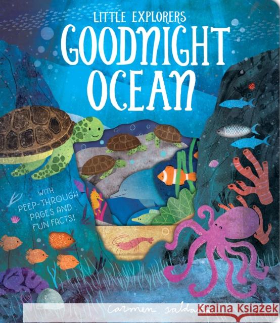 Goodnight Ocean Becky Davies Carmen Saldana  9781912756148 Liontree Publishing - książka
