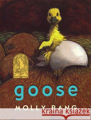 Goose Molly Bang 9781930900950 Purple House Press - książka