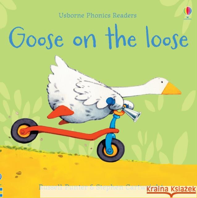 Goose on the loose Russell Punter Stephen Cartwright  9781474970181 Usborne Publishing Ltd - książka