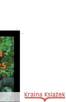 Gorilla Families Claudia Diamond 9781435889767 Rosen Publishing Group - książka