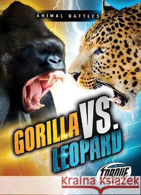 Gorilla vs. Leopard Nathan Sommer 9781648342943 Torque - książka