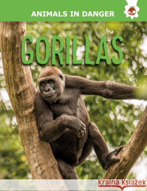 Gorillas Emily Kington 9781914087813 Hungry Tomato Ltd - książka