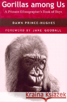 Gorillas Among Us: A Primate Ethnographer's Book of Days Dawn Prince-Hughes Jane Goodall 9780816521517 University of Arizona Press - książka
