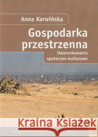 Gospodarka przestrzenna Karwińska Anna 9788301154455 Wydawnictwo Naukowe PWN - książka