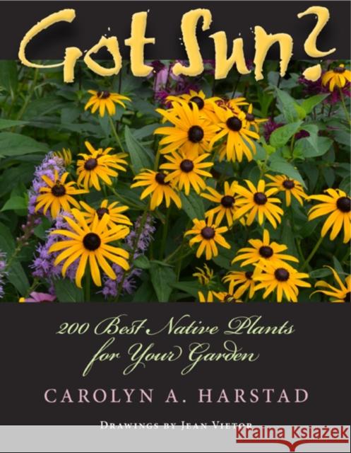 Got Sun?: 200 Best Native Plants for Your Garden Harstad, Carolyn A. 9780253009319 Indiana University Press - książka