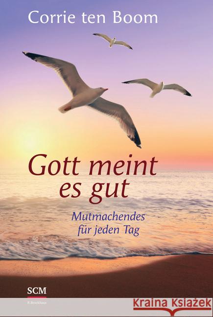 Gott meint es gut : Mutmachendes für jeden Tag Boom, Corrie ten 9783417265408 SCM R. Brockhaus - książka