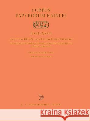 (Gott) Schütze Das Fleisch Des Pharao: Untersuchungen Zum Magischen Handbuch Pwien Aeg 8426 Flessa, Nicolas 9783598779527 K G Saur - książka