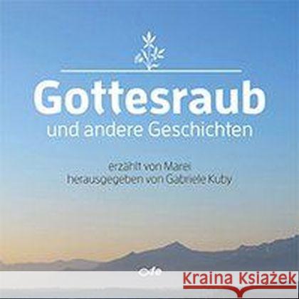 Gottesraub und andere Geschichten Marei 9783863571443 Fe-Medienverlag - książka