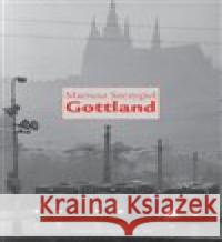 Gottland Mariusz Szczygiel 9788073639174 Máj - książka