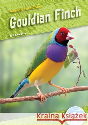 Gouldian Finch Julie Murray 9781098281144 Dash! - książka