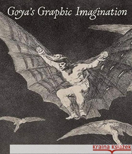 Goya's Graphic Imagination Mark McDonald Mercedes Cer 9781588397140 Metropolitan Museum of Art New York - książka