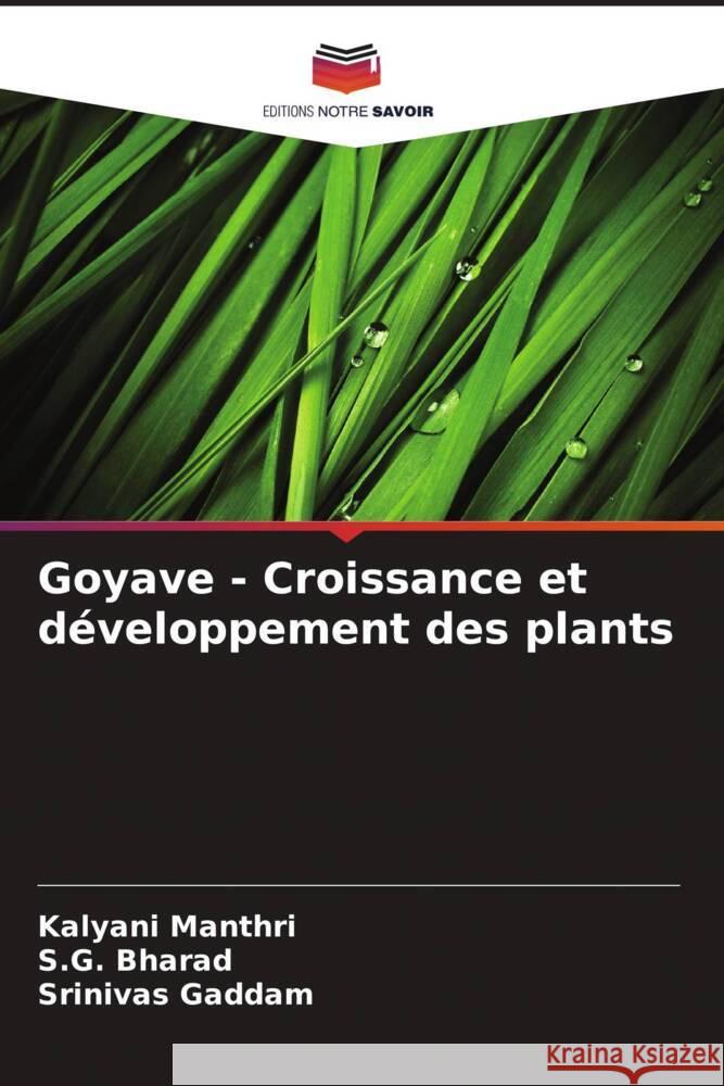 Goyave - Croissance et développement des plants Manthri, Kalyani, Bharad, S.G., Gaddam, Srinivas 9786206301318 Editions Notre Savoir - książka